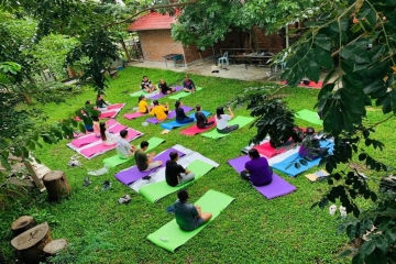 Yoga Services