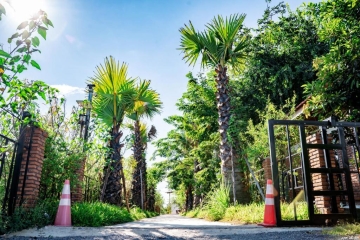 Walking View